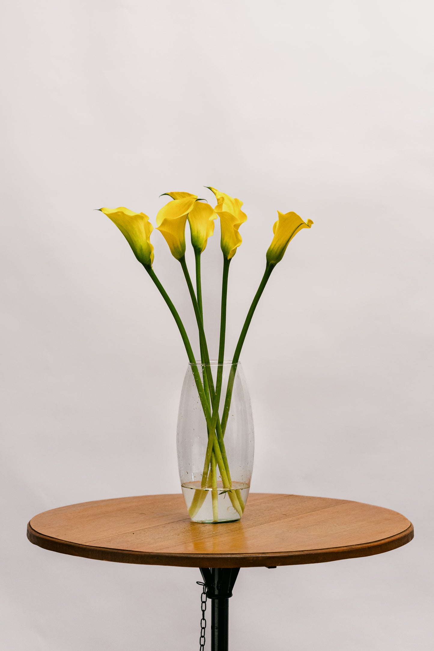 Callas Amarela
