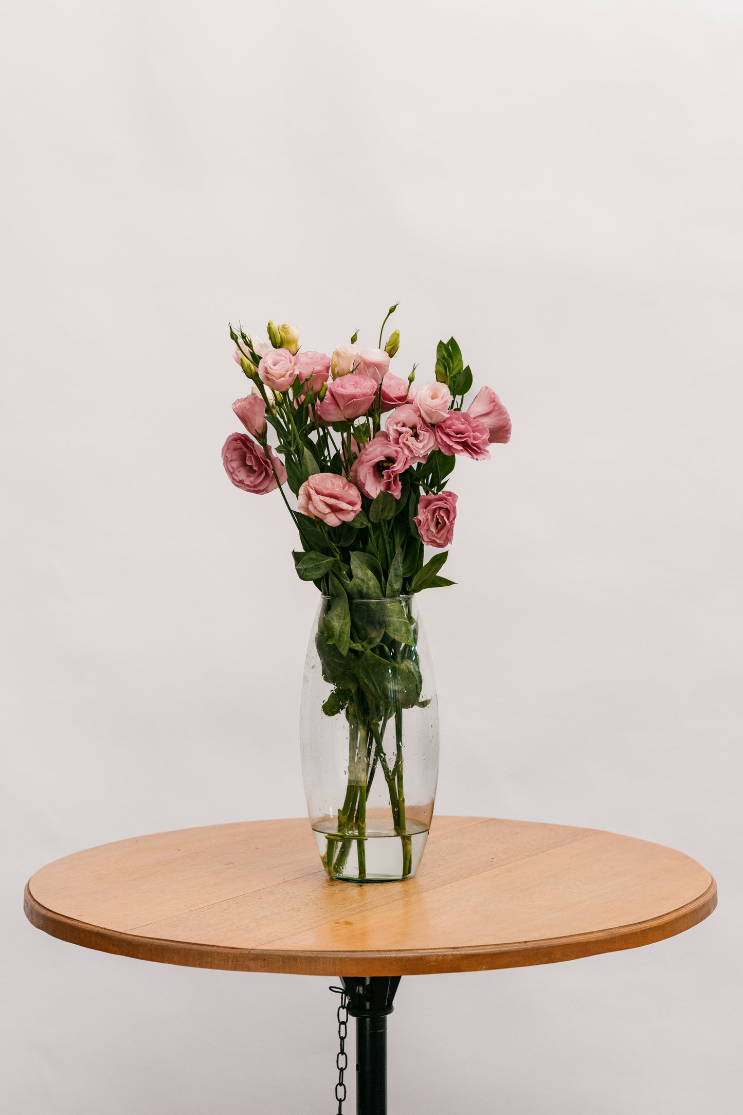 Lisianthus Rosa