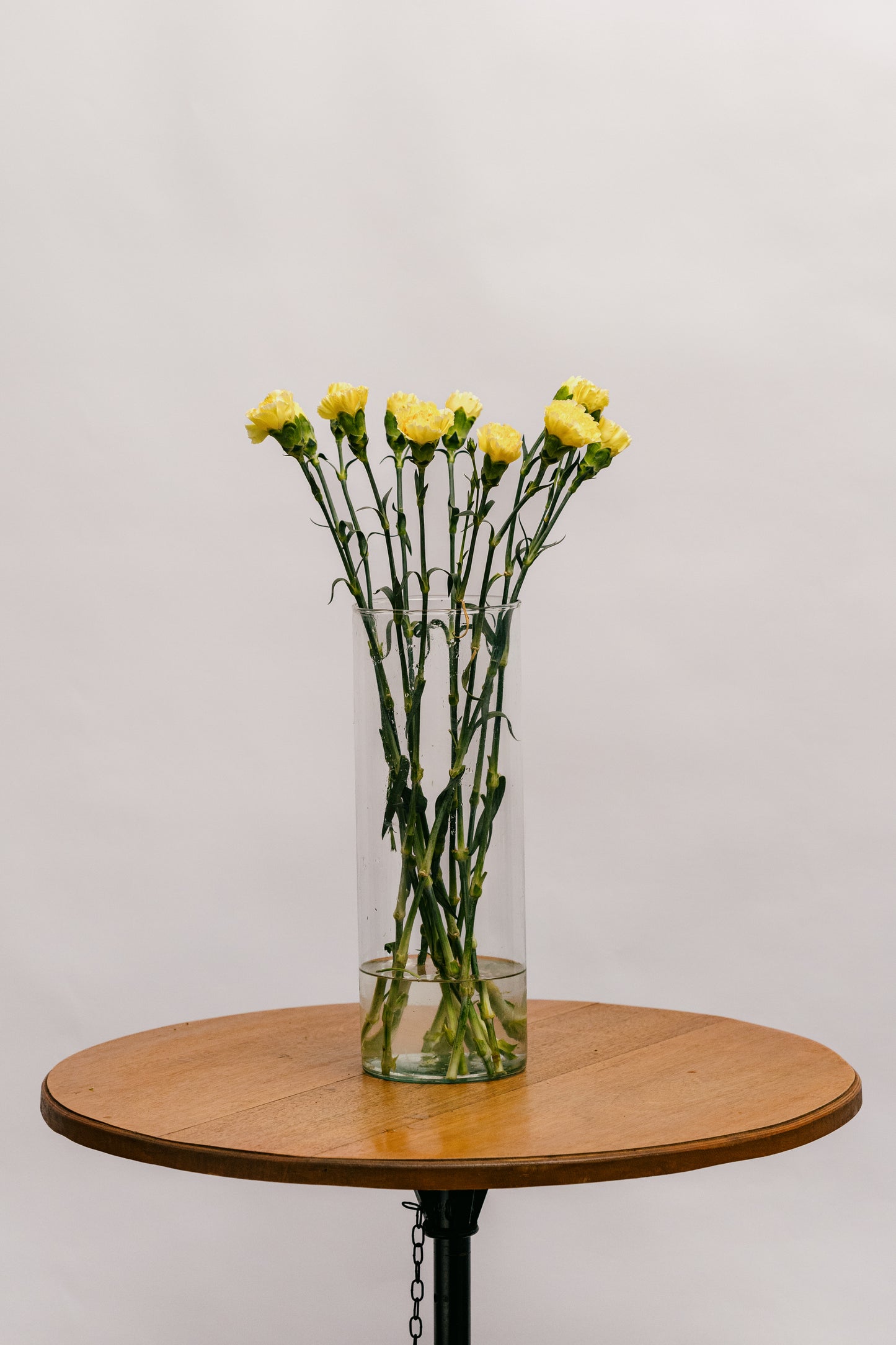 Cravo Amarelo