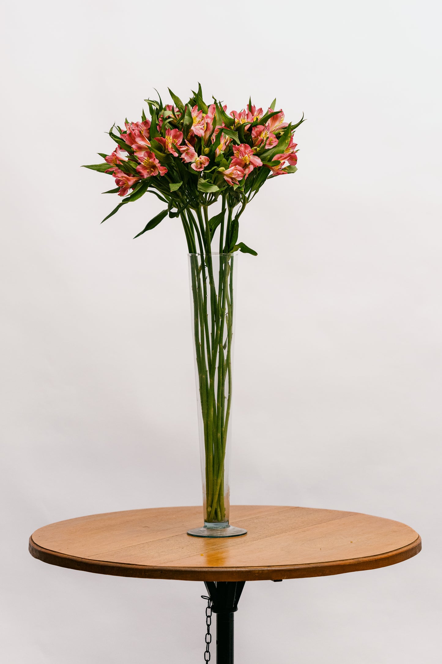 Astromelia Rosa Chiclete