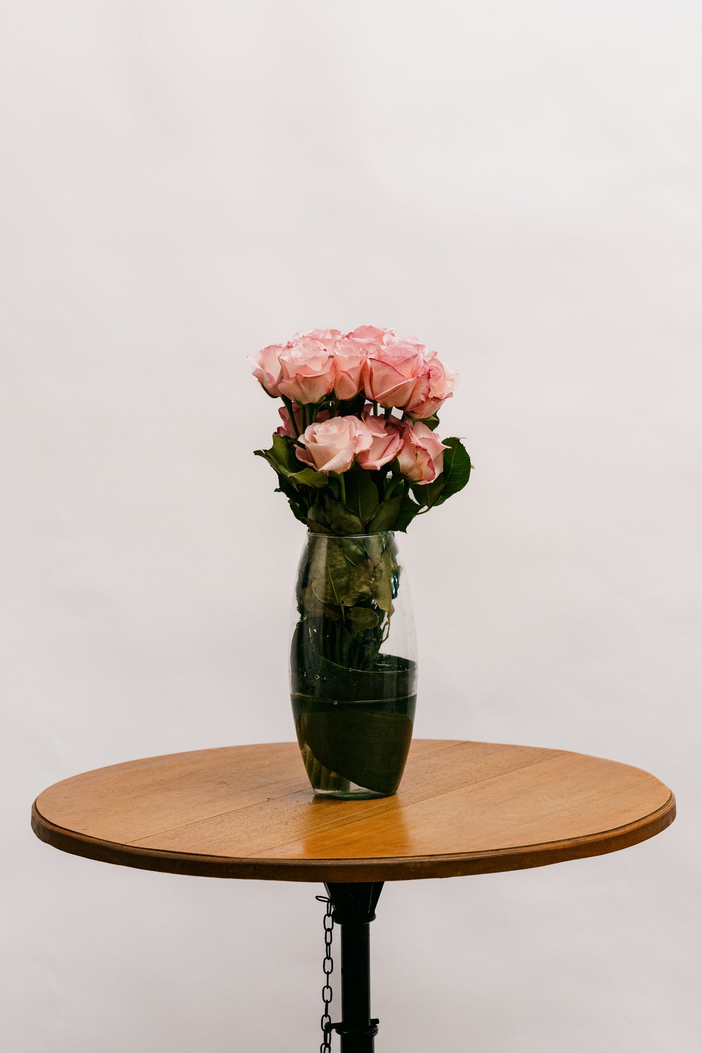 Rosa Vania