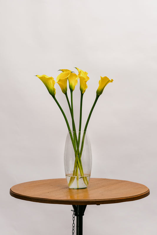 Callas Amarela