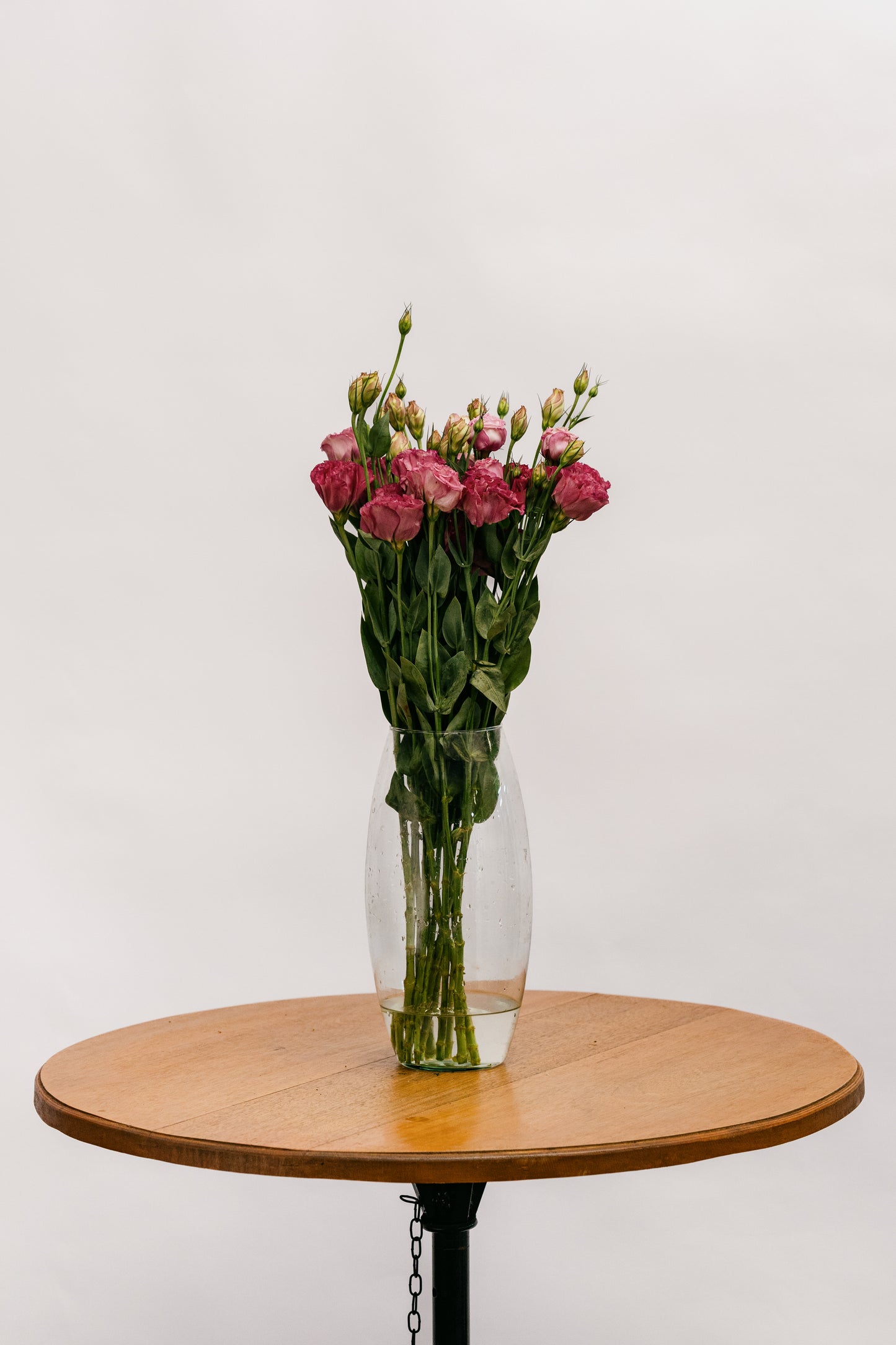 Lisianthus Marsala