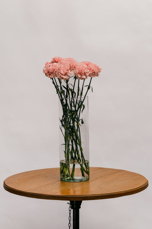Cravo Rosa Chiclete