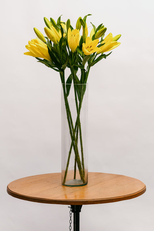 Lírio Amarelo