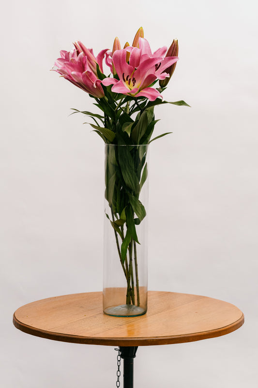 Lírio Pink