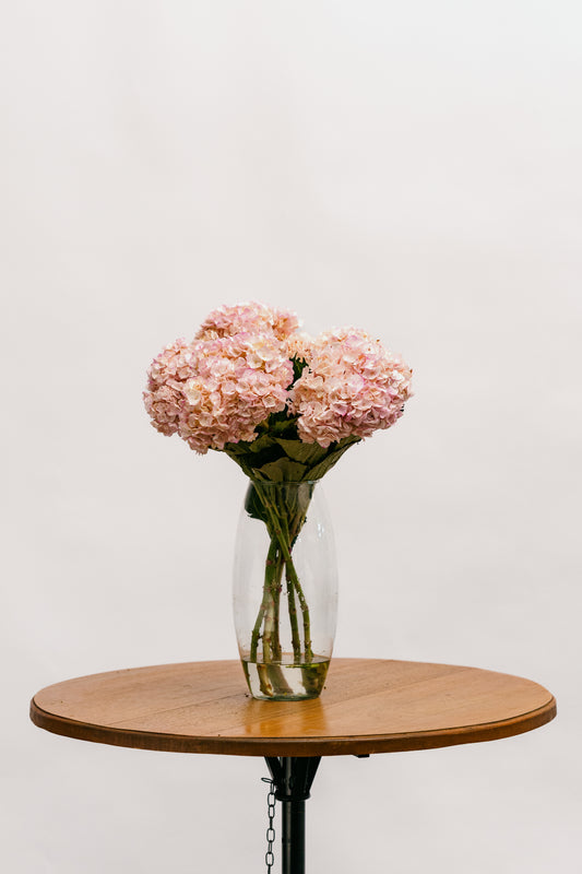 Hortensia Rosa
