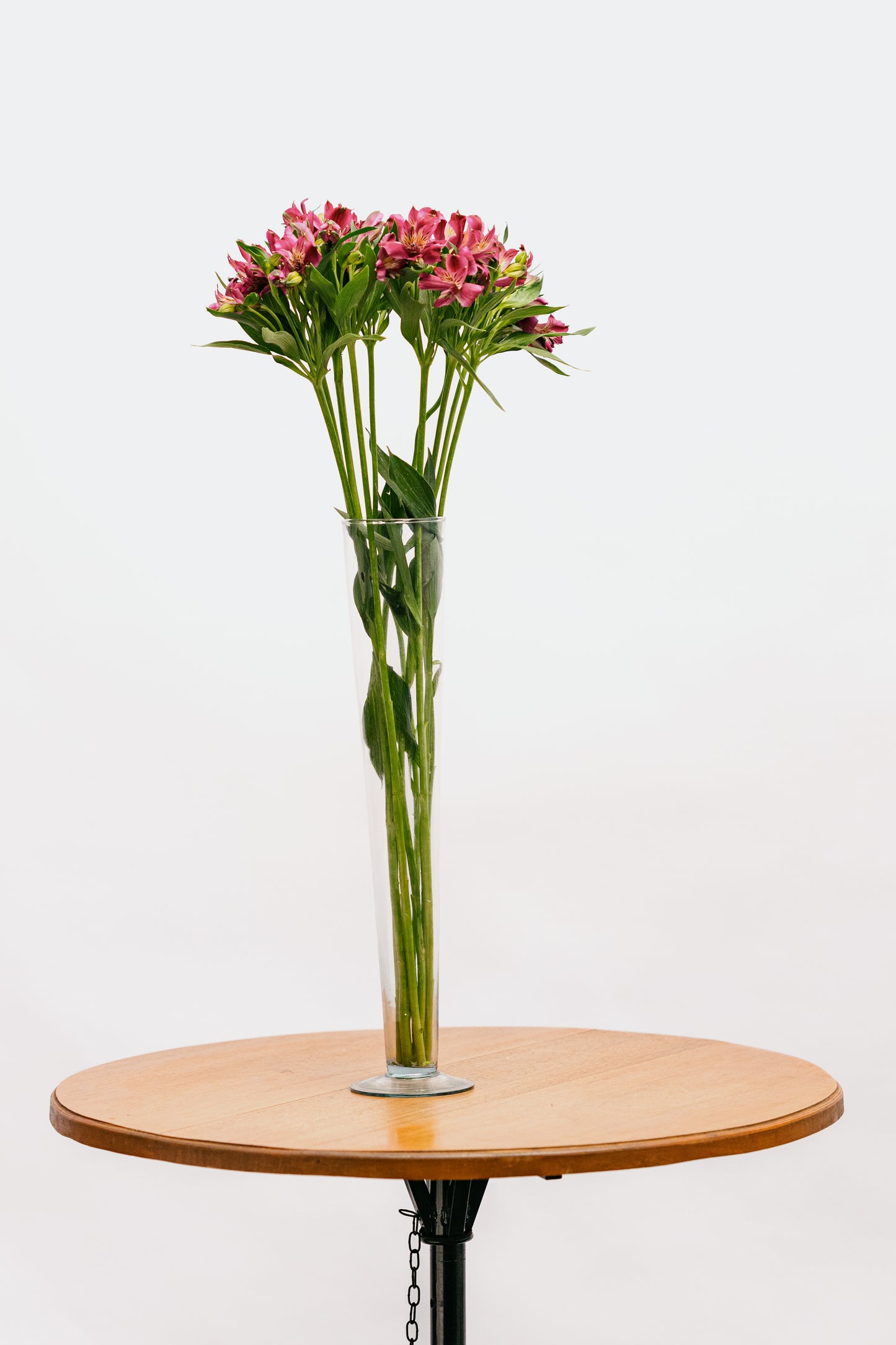 Astromelia Pink